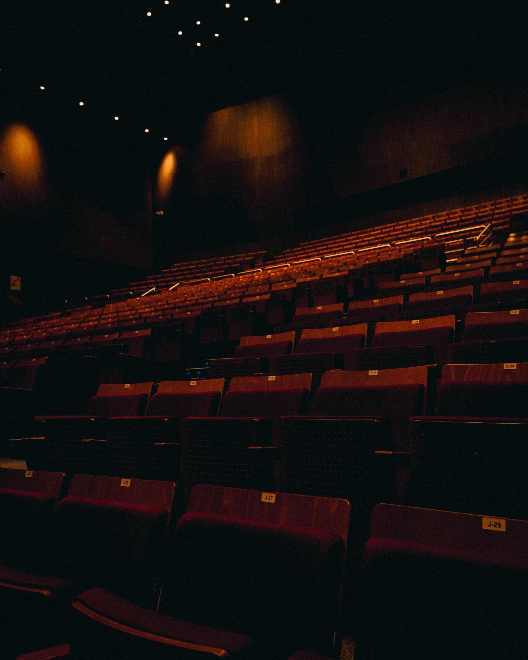 An empty theatre auditorium, rows of numbered seats rising away from the stage.